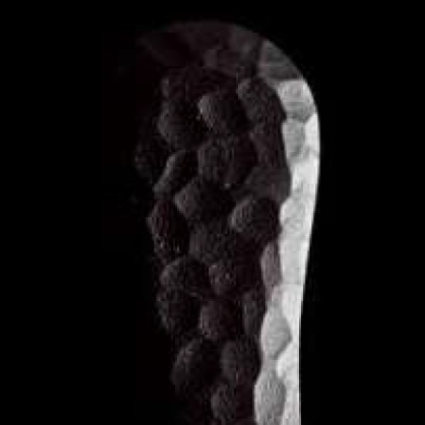 画像2: ユニキャスト ブラックハンドル(両側タイプ)/全長:350mm (2)