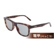 調光サングラス（ベッコウタイプ）