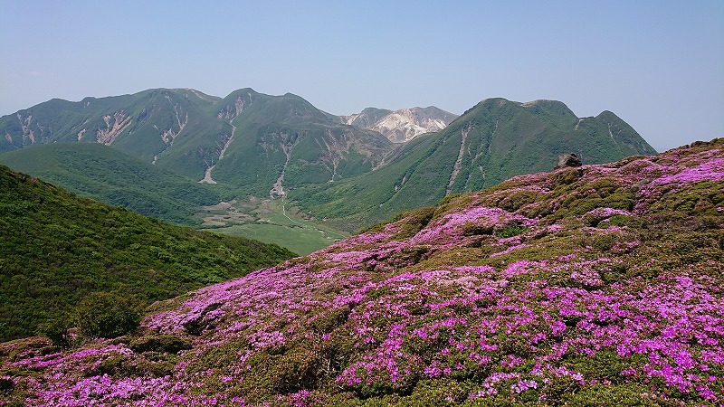 桜の時期も過ぎつつも…。