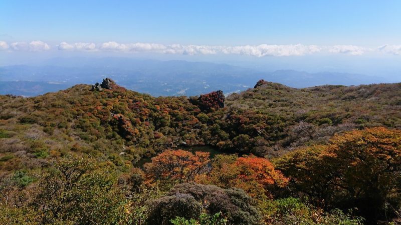 紅葉,モミジ,紅葉の名所