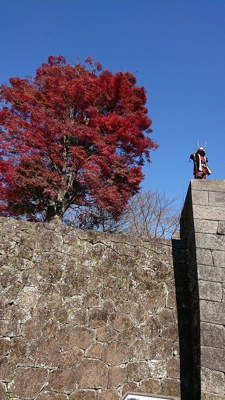 紅葉,紅葉スポット,冬支度,もみじ