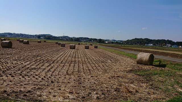 畜産用,かき集める,稲刈り後,煙公害