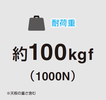 耐荷重,約100kg